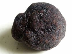 Truffe