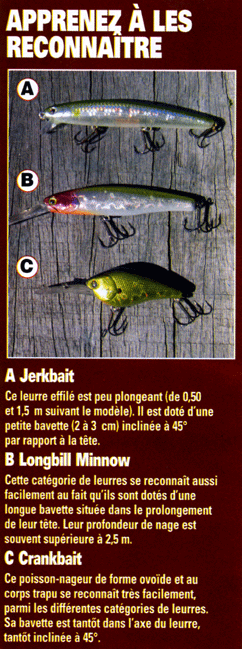 Carnassier - Poisson nageur