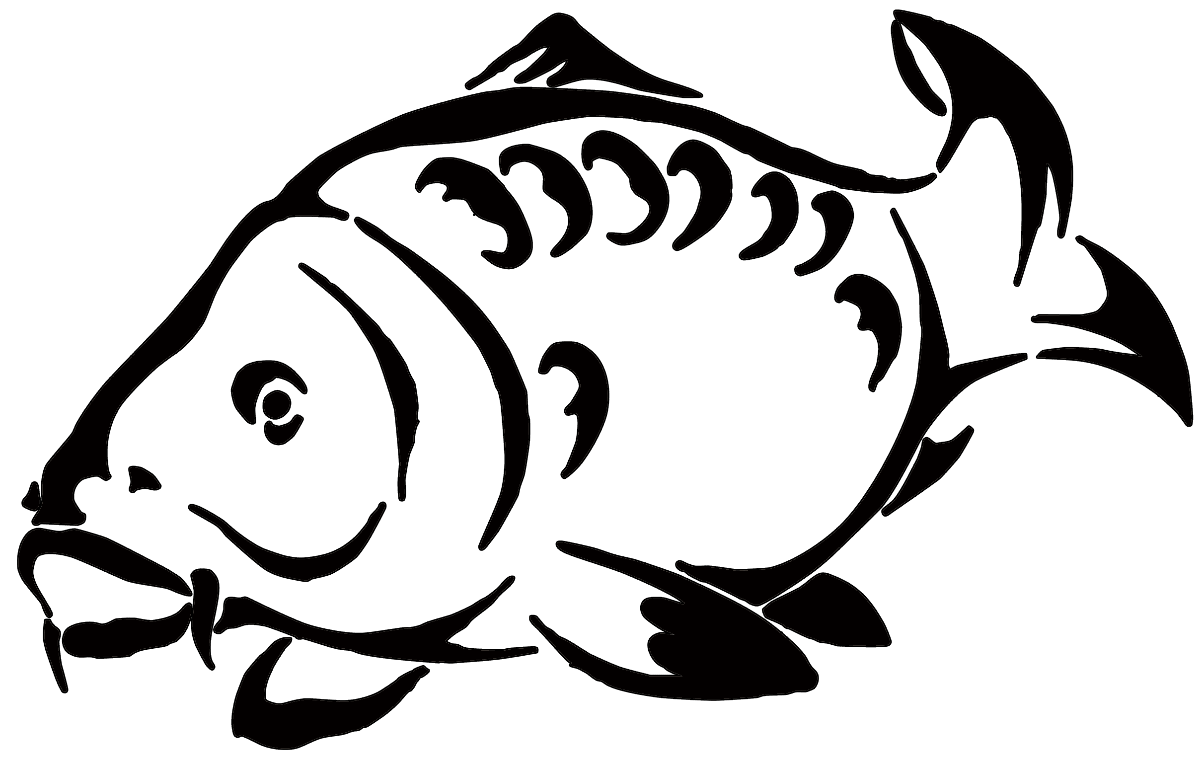 carp.gif (85783 octets)