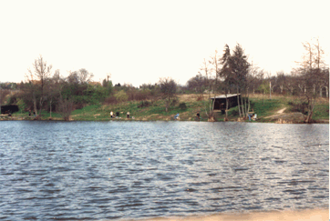 etang_salvagny.gif (54399 octets)