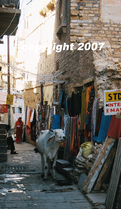 jaisalmer - rue