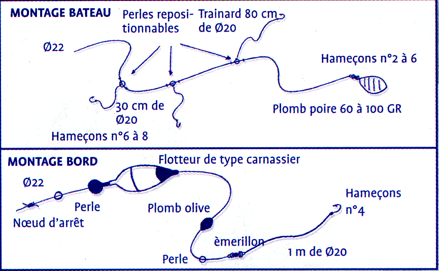 montage_bord_bateau