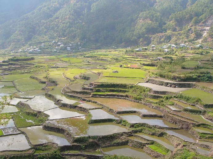 Banaue